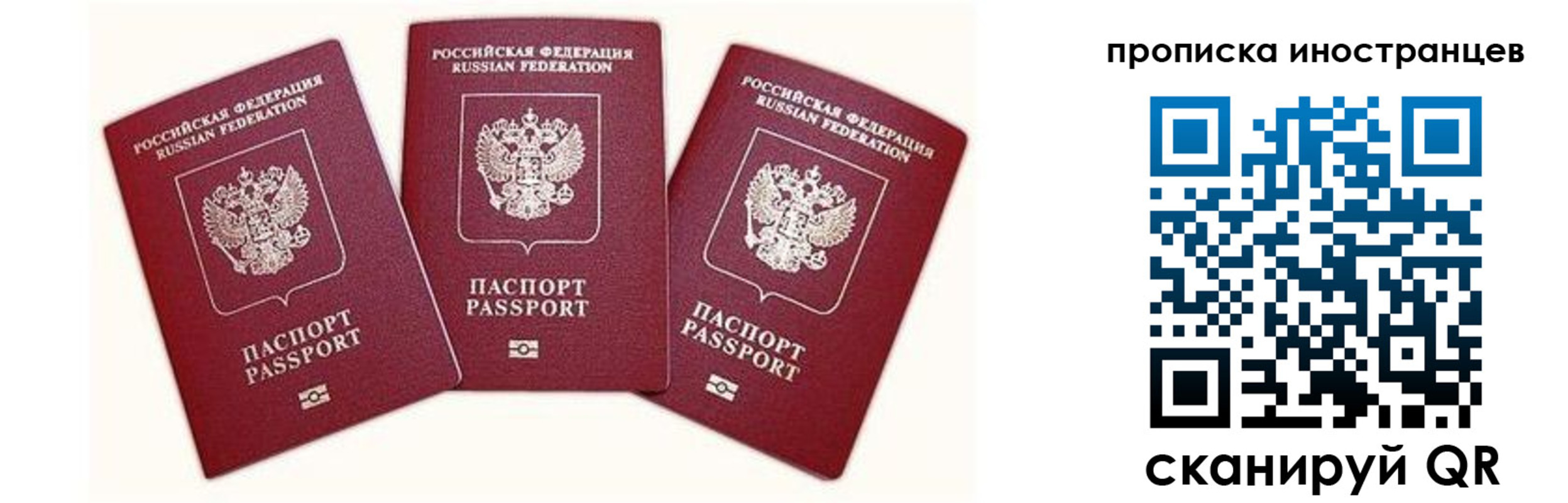прописка в Петропавловске-Камчатском